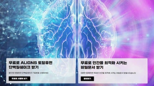 얼라인