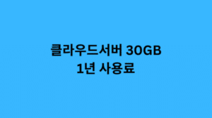 클라우드서버 30GB 1년