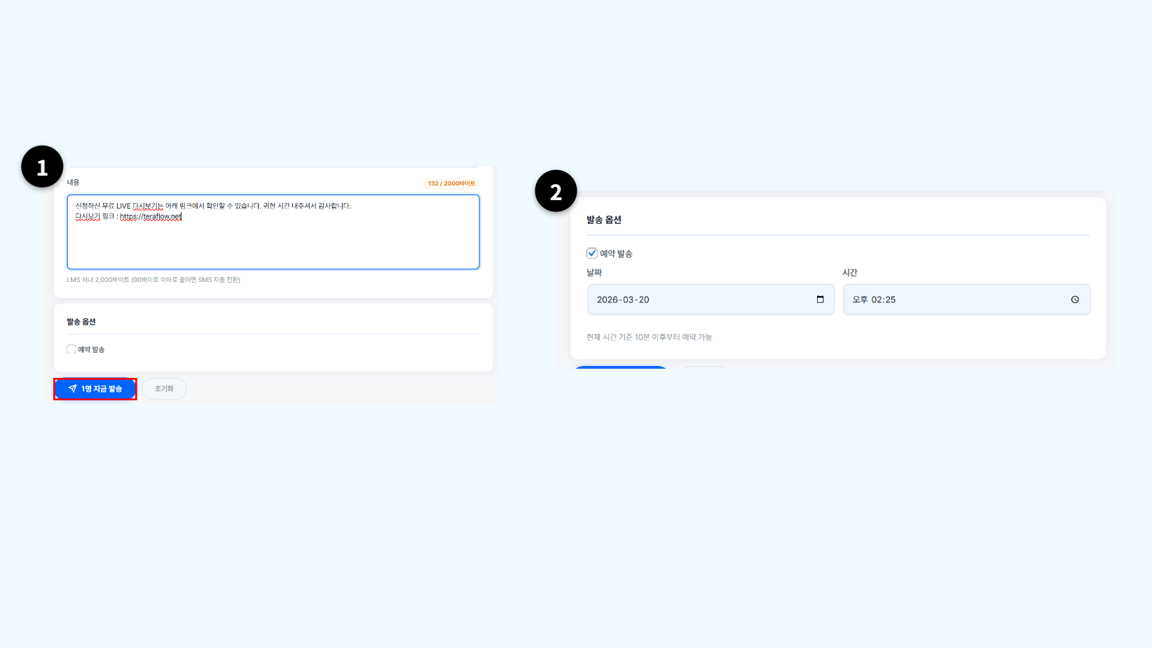 발송 옵션에서 예약 발송 체크박스와 지금 발송 버튼이 표시된 화면